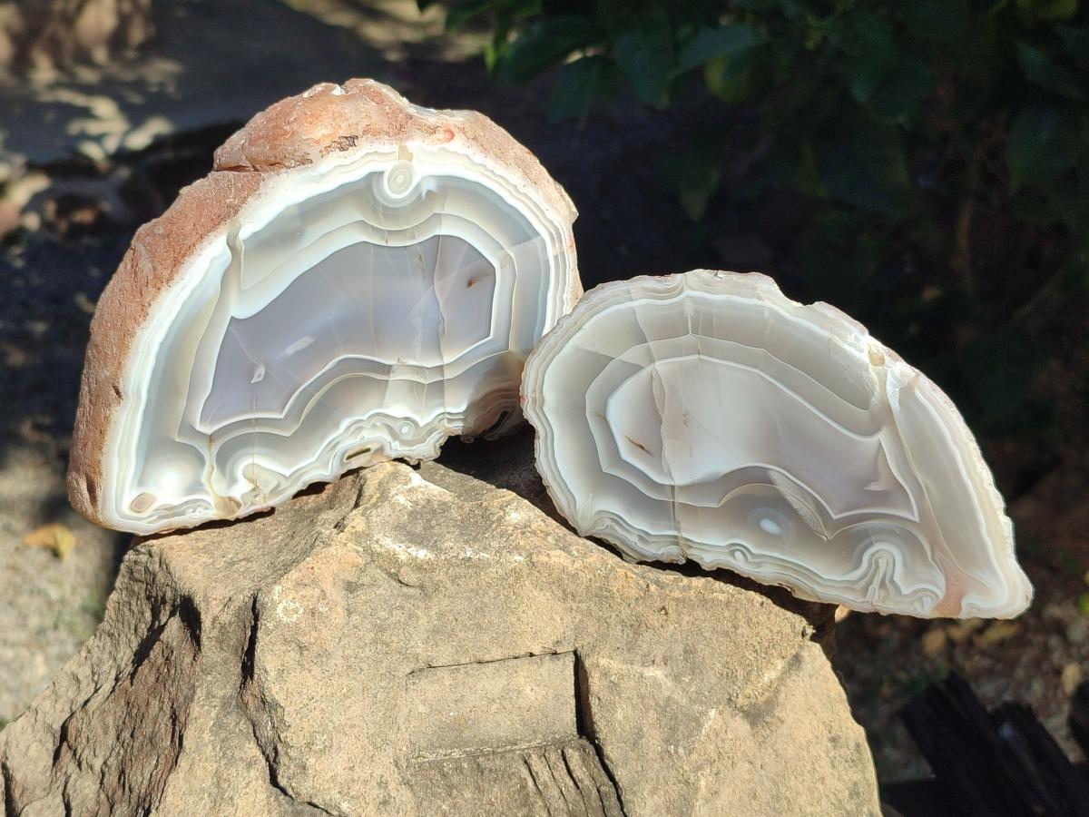 Polished One Side Banded Agate Nodules x 2 From Shashe River, Zimbabwe - Toprock Gemstones and Minerals 