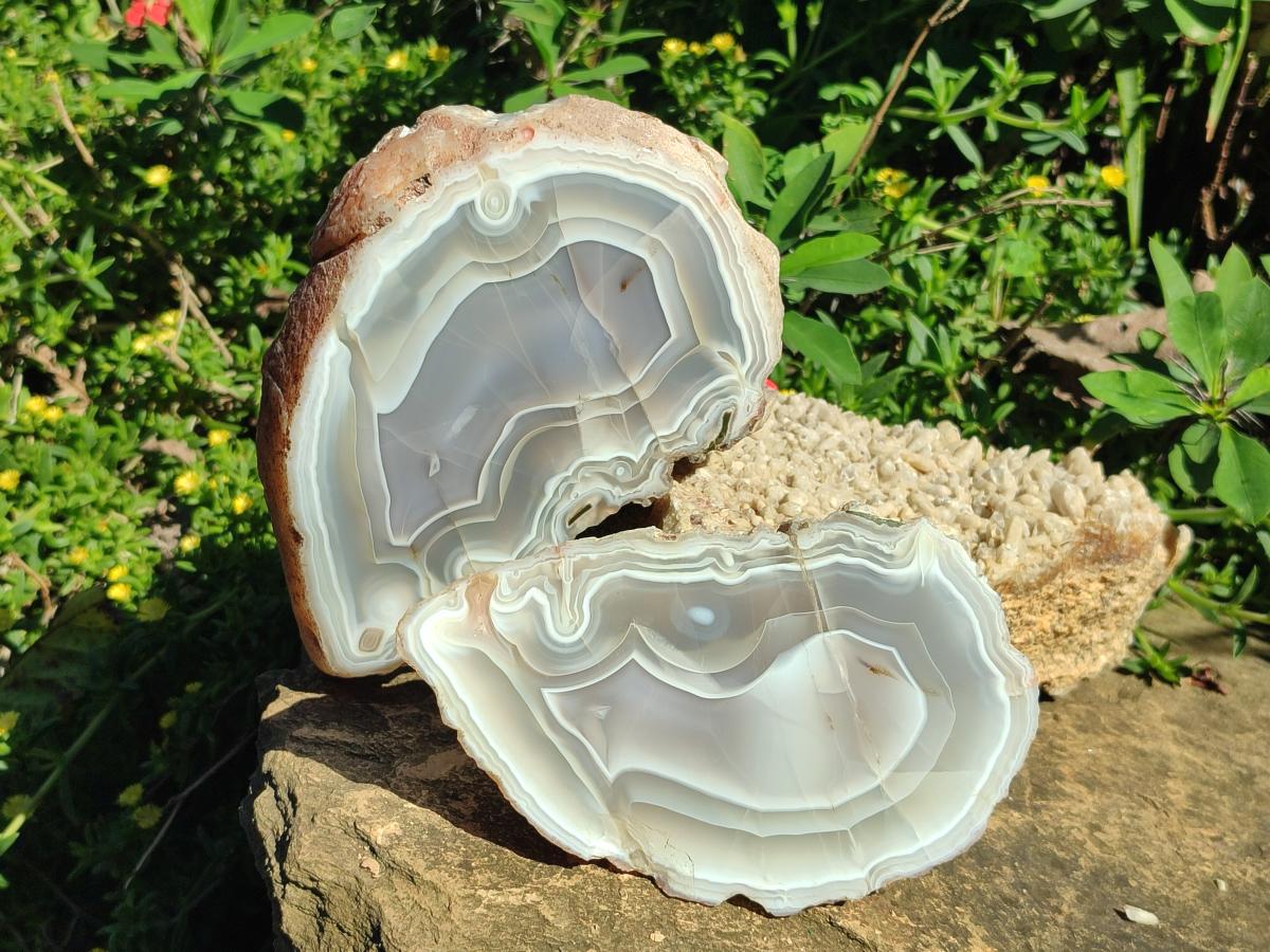 Polished One Side Banded Agate Nodules x 2 From Shashe River, Zimbabwe - Toprock Gemstones and Minerals 