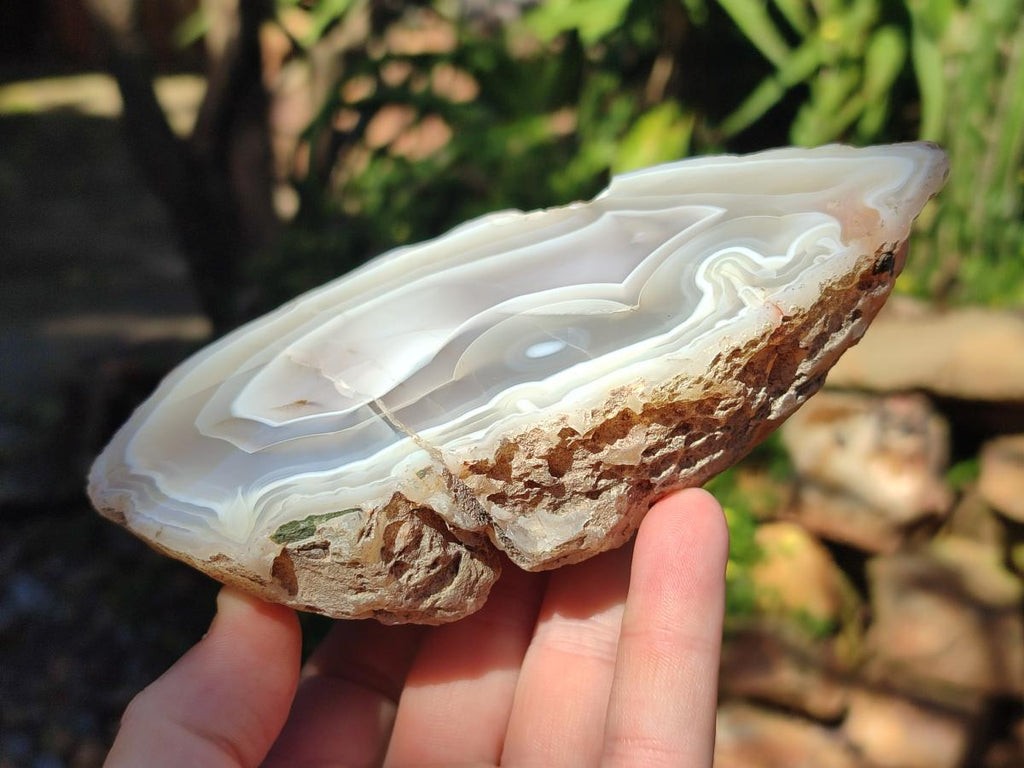 Polished One Side Banded Agate Nodules x 2 From Shashe River, Zimbabwe - Toprock Gemstones and Minerals 