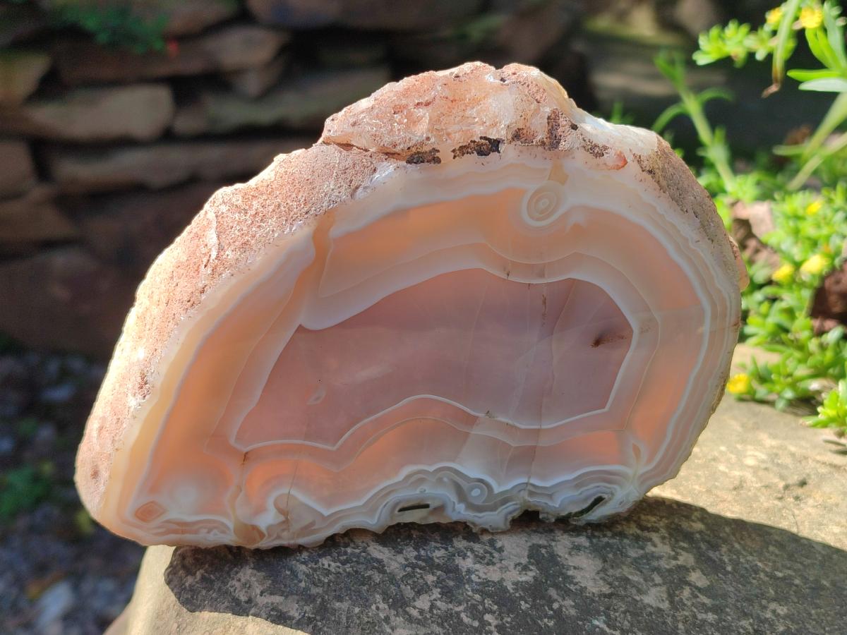 Polished One Side Banded Agate Nodules x 2 From Shashe River, Zimbabwe - Toprock Gemstones and Minerals 