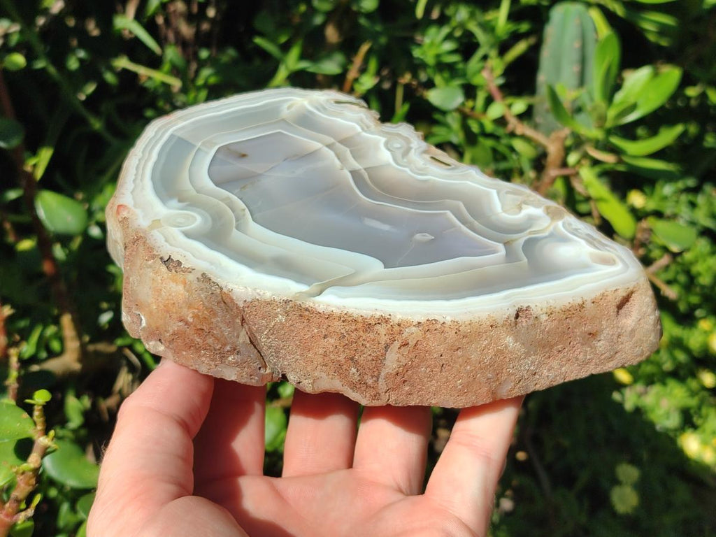 Polished One Side Banded Agate Nodules x 2 From Shashe River, Zimbabwe - Toprock Gemstones and Minerals 