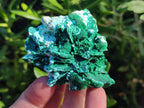 Natural Rare Malachite Pseudomorph Specimens with Inclusions x 12 From Kolwezi, Congo - Toprock Gemstones and Minerals 