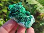 Natural Rare Malachite Pseudomorph Specimens with Inclusions x 12 From Kolwezi, Congo - Toprock Gemstones and Minerals 