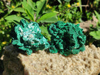 Natural Rare Malachite Pseudomorph Specimens with Inclusions x 12 From Kolwezi, Congo - Toprock Gemstones and Minerals 
