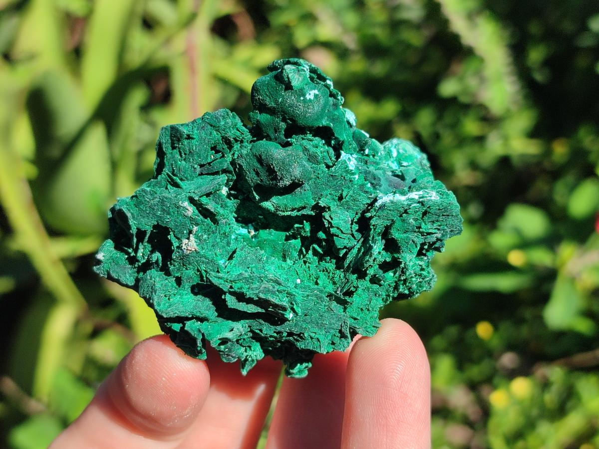 Natural Rare Malachite Pseudomorph Specimens with Inclusions x 12 From Kolwezi, Congo - Toprock Gemstones and Minerals 