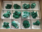 Natural Rare Malachite Pseudomorph Specimens with Inclusions x 12 From Kolwezi, Congo - Toprock Gemstones and Minerals 