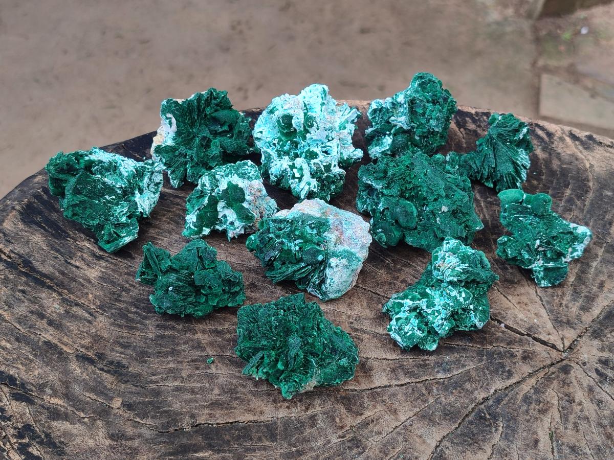 Natural Rare Malachite Pseudomorph Specimens with Inclusions x 12 From Kolwezi, Congo - Toprock Gemstones and Minerals 