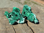 Natural Rare Malachite Pseudomorph Specimens with Inclusions x 12 From Kolwezi, Congo - Toprock Gemstones and Minerals 