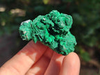 Natural Rare Malachite Pseudomorph Specimens with Inclusions x 12 From Kolwezi, Congo - Toprock Gemstones and Minerals 