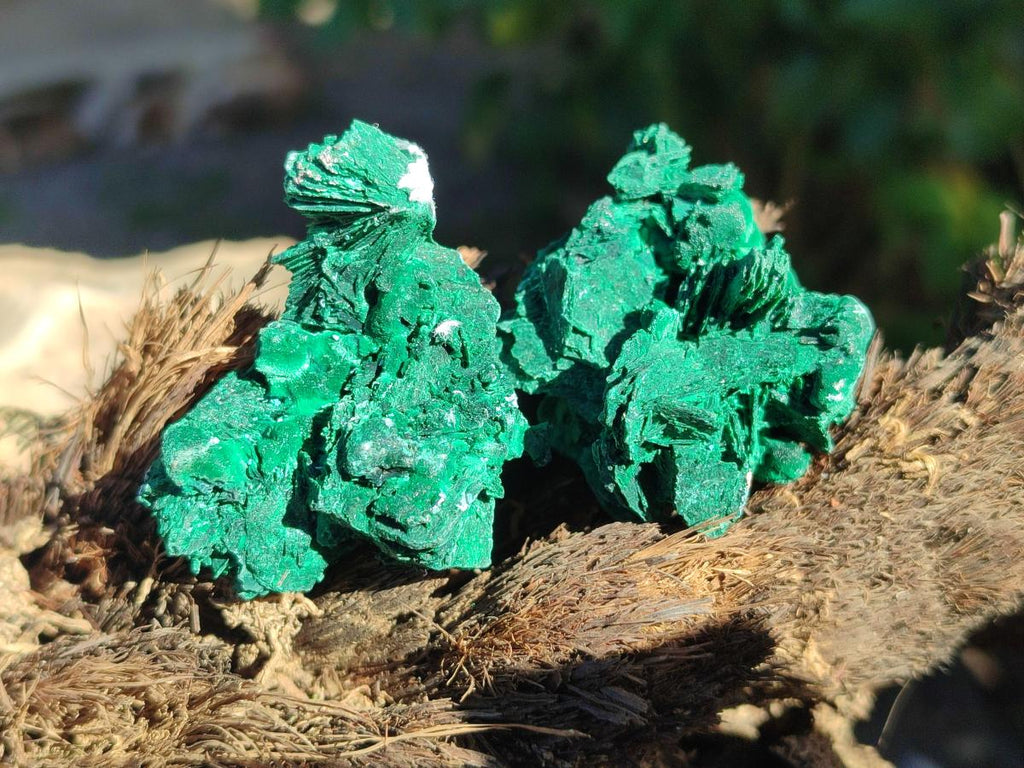 Natural Rare Malachite Pseudomorph Specimens with Inclusions x 12 From Kolwezi, Congo - Toprock Gemstones and Minerals 