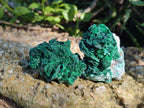 Natural Rare Malachite Pseudomorph Specimens with Inclusions x 12 From Kolwezi, Congo - Toprock Gemstones and Minerals 