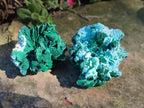 Natural Rare Malachite Pseudomorph Specimens with Inclusions x 12 From Kolwezi, Congo - Toprock Gemstones and Minerals 