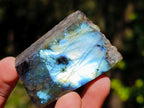 Polished One Side Labradorite Plates x 35 From Madagascar - Toprock Gemstones and Minerals 