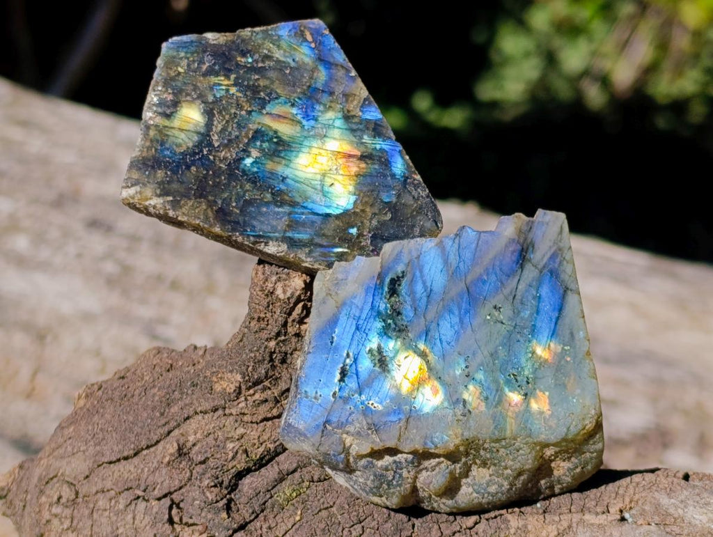Polished One Side Labradorite Plates x 35 From Madagascar - Toprock Gemstones and Minerals 
