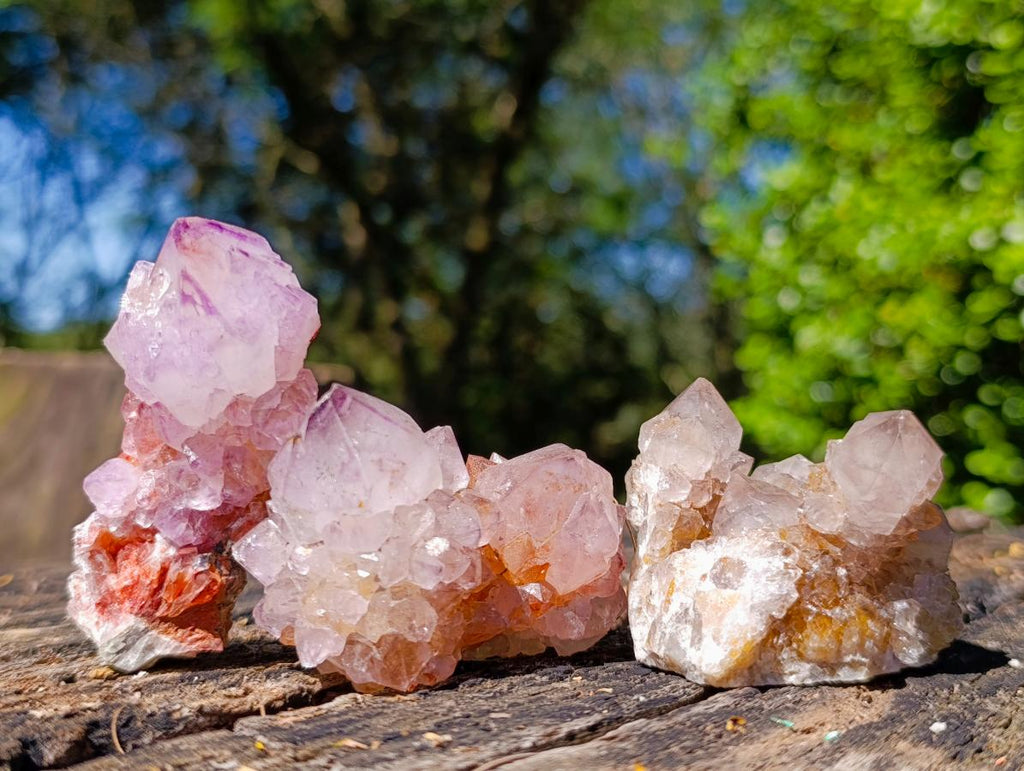 Natural Mixed Spirit Quartz Clusters x 5 From Boekenhouthoek, South Africa - Toprock Gemstones and Minerals 