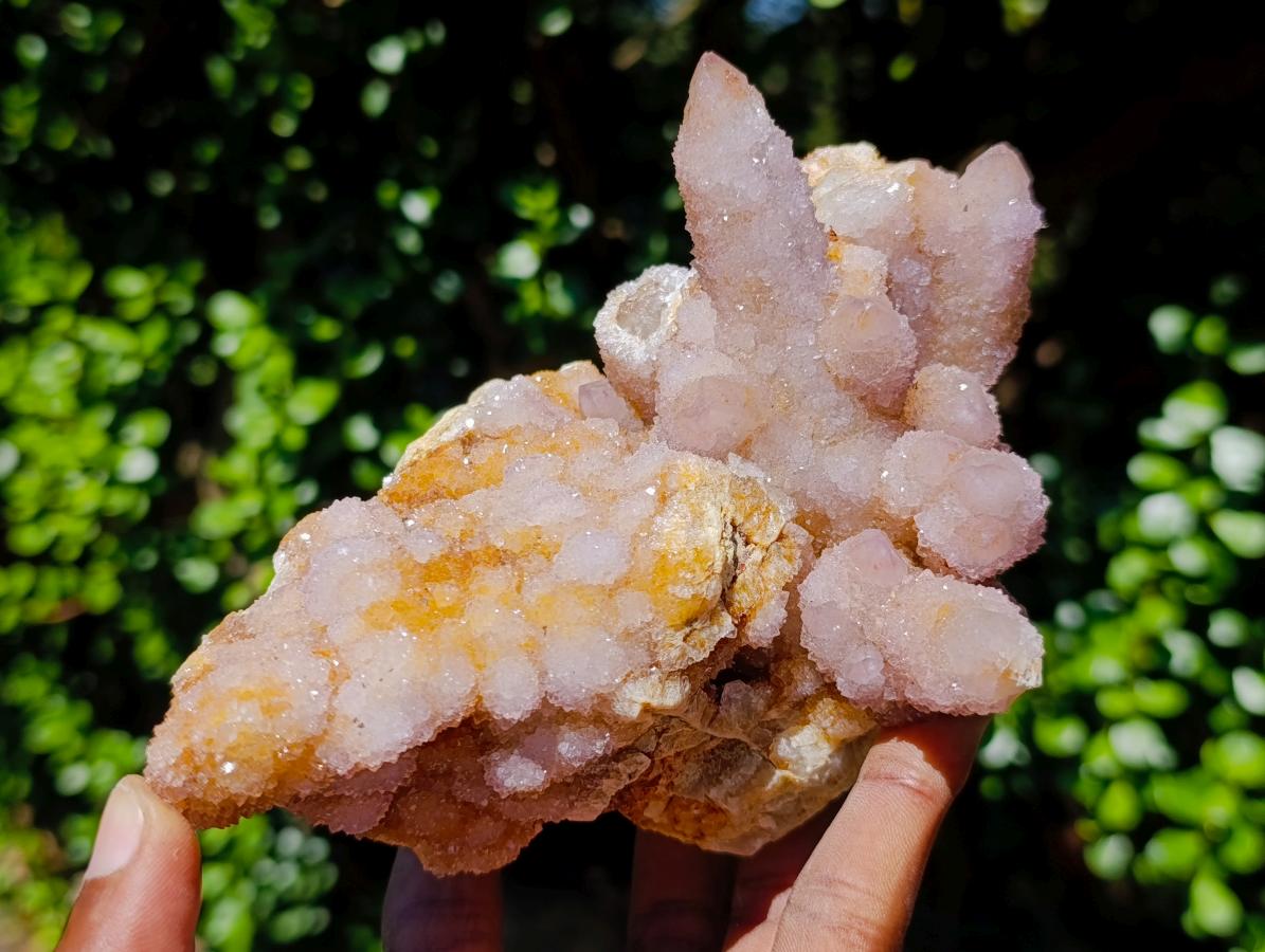 Natural Mixed Spirit Quartz Clusters x 5 From Boekenhouthoek, South Africa - Toprock Gemstones and Minerals 