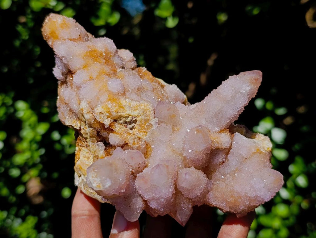 Natural Mixed Spirit Quartz Clusters x 5 From Boekenhouthoek, South Africa - Toprock Gemstones and Minerals 