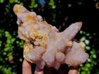 Natural Mixed Spirit Quartz Clusters x 5 From Boekenhouthoek, South Africa - Toprock Gemstones and Minerals 
