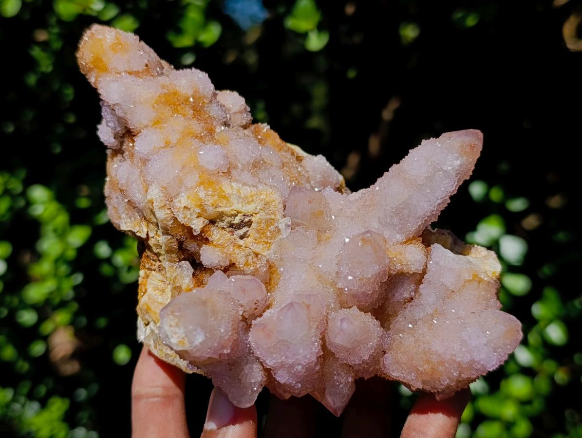 Natural Mixed Spirit Quartz Clusters x 5 From Boekenhouthoek, South Africa - Toprock Gemstones and Minerals 