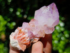 Natural Mixed Spirit Quartz Clusters x 5 From Boekenhouthoek, South Africa - Toprock Gemstones and Minerals 