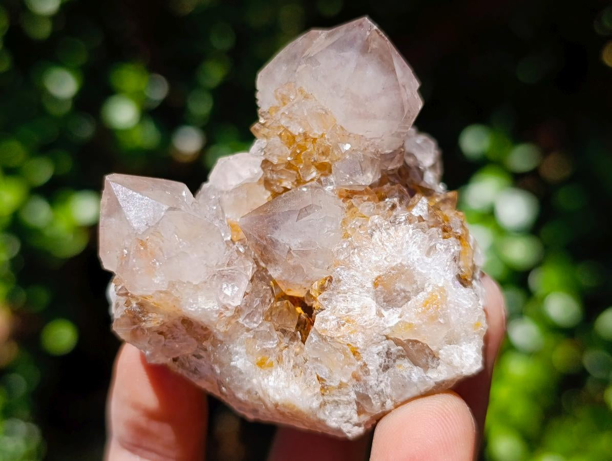 Natural Mixed Spirit Quartz Clusters x 5 From Boekenhouthoek, South Africa - Toprock Gemstones and Minerals 
