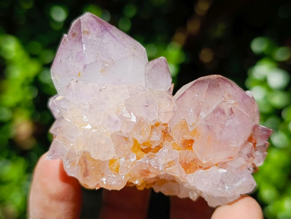 Natural Mixed Spirit Quartz Clusters x 5 From Boekenhouthoek, South Africa - Toprock Gemstones and Minerals 