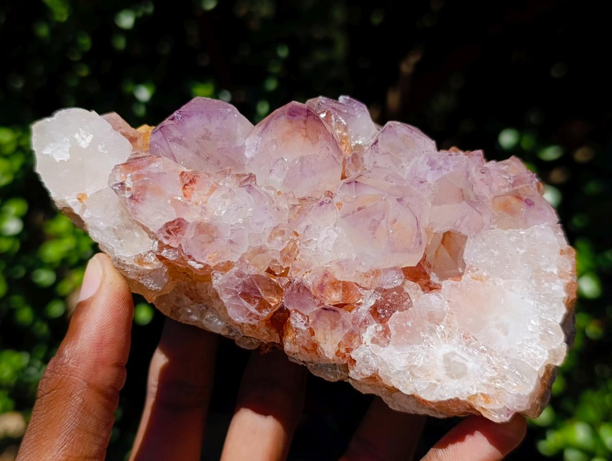 Natural Mixed Spirit Quartz Clusters x 5 From Boekenhouthoek, South Africa - Toprock Gemstones and Minerals 