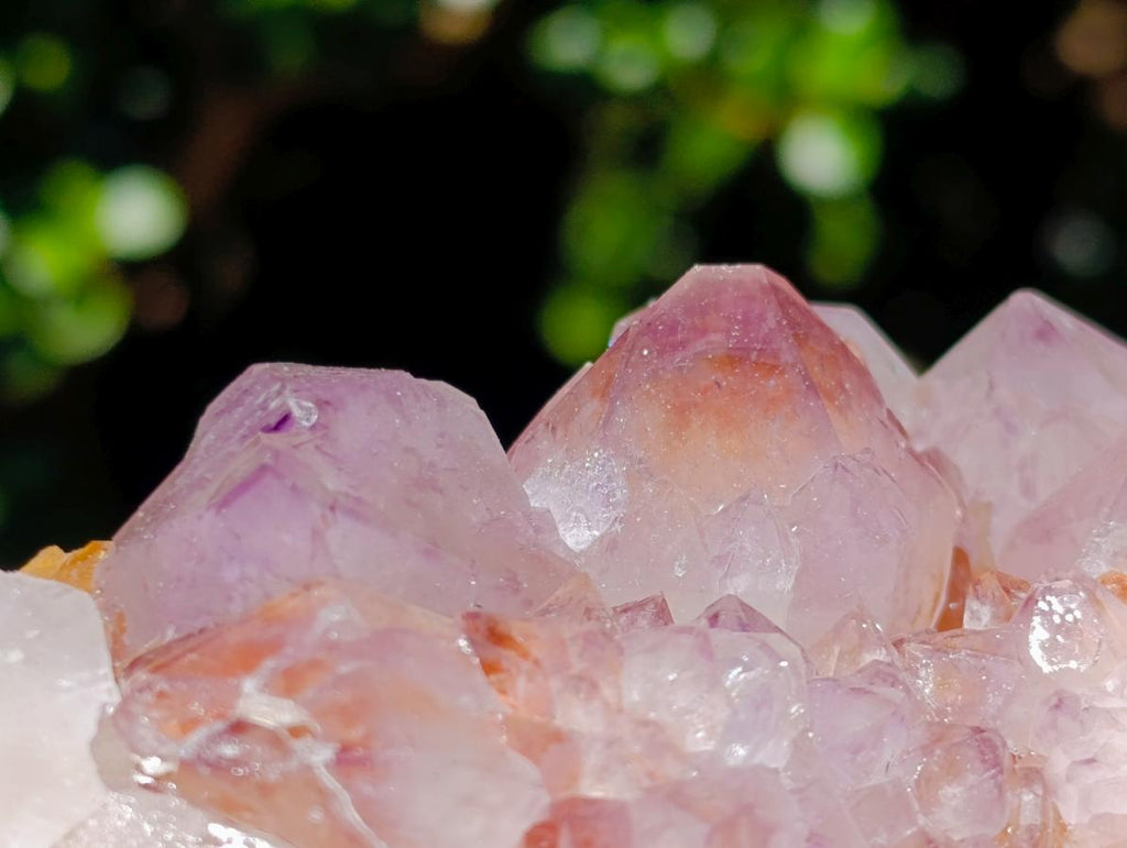 Natural Mixed Spirit Quartz Clusters x 5 From Boekenhouthoek, South Africa - Toprock Gemstones and Minerals 