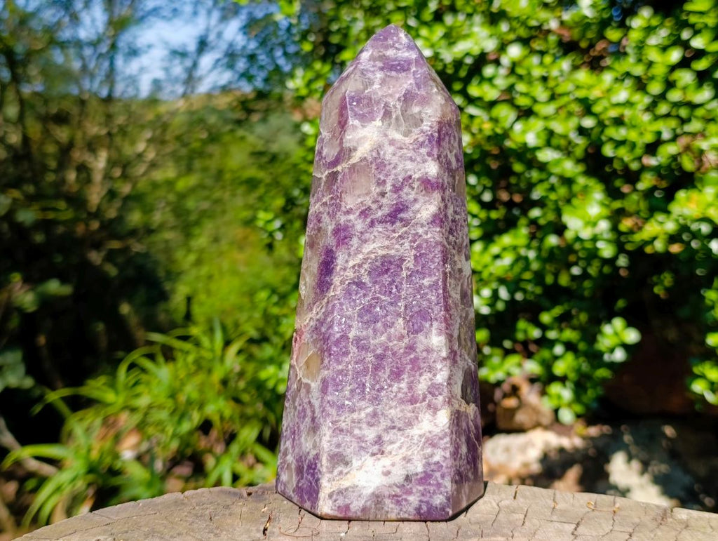 Polished Large Lepidolite Display Crystal x 1 From Ambatondrazaka, Madagascar - Toprock Gemstones and Minerals 