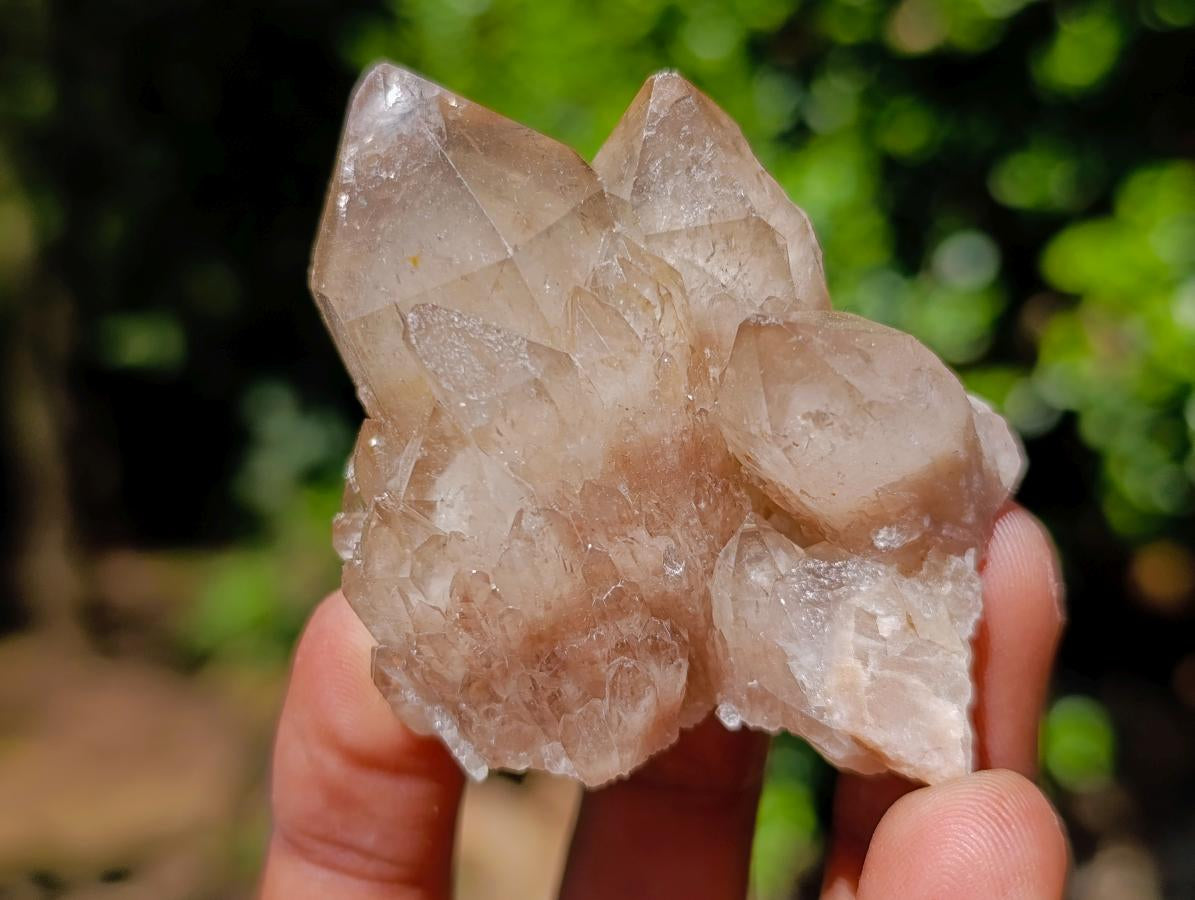 Natural Smokey Phantom Luena Quartz Clusters x 12 From Luena, Congo - Toprock Gemstones and Minerals 