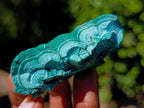 Natural Botryoidal Malachite Specimens x 12 From Congo - Toprock Gemstones and Minerals 
