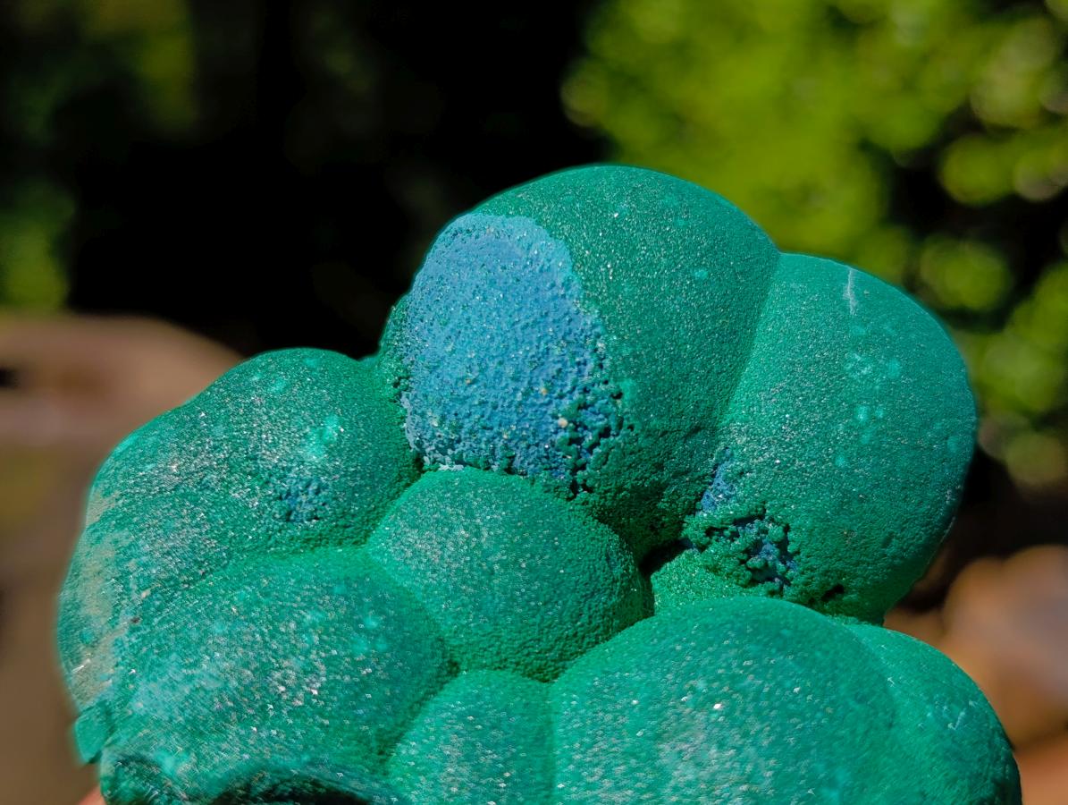 Natural Botryoidal Malachite Specimens x 12 From Congo - Toprock Gemstones and Minerals 