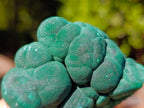 Natural Botryoidal Malachite Specimens x 12 From Congo - Toprock Gemstones and Minerals 