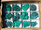 Natural Botryoidal Malachite Specimens x 12 From Congo - Toprock Gemstones and Minerals 