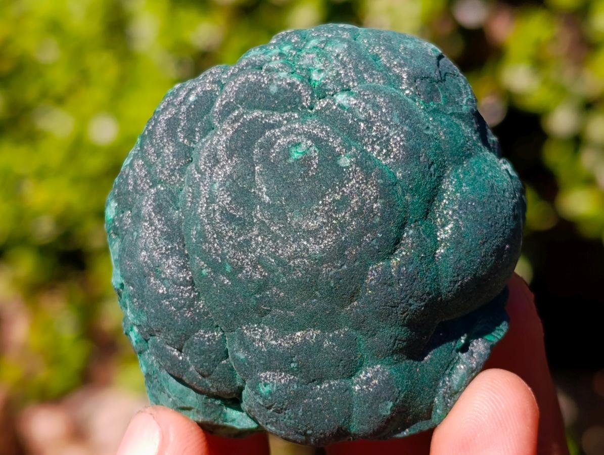Natural Botryoidal Malachite Specimens x 12 From Congo - Toprock Gemstones and Minerals 