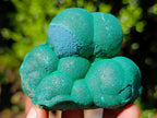 Natural Botryoidal Malachite Specimens x 12 From Congo - Toprock Gemstones and Minerals 
