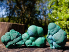 Natural Botryoidal Malachite Specimens x 12 From Congo - Toprock Gemstones and Minerals 