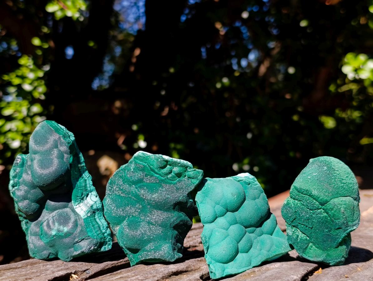 Natural Botryoidal Malachite Specimens x 12 From Congo - Toprock Gemstones and Minerals 