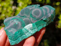 Natural Botryoidal Malachite Specimens x 12 From Congo - Toprock Gemstones and Minerals 