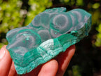 Natural Botryoidal Malachite Specimens x 12 From Congo - Toprock Gemstones and Minerals 