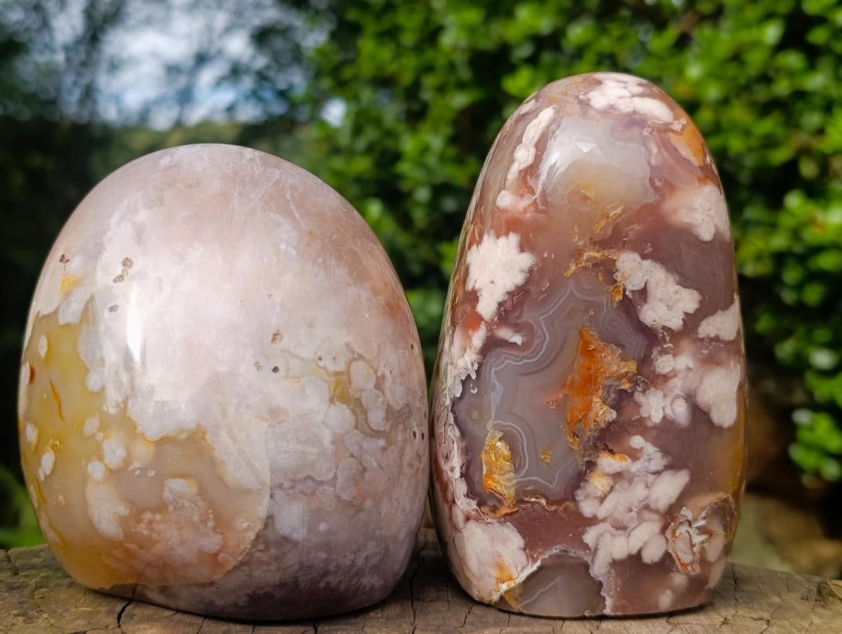Polished Flower Agate Standing Display Pieces x 2 From Antsahalova, Madagascar - Toprock Gemstones and Minerals 
