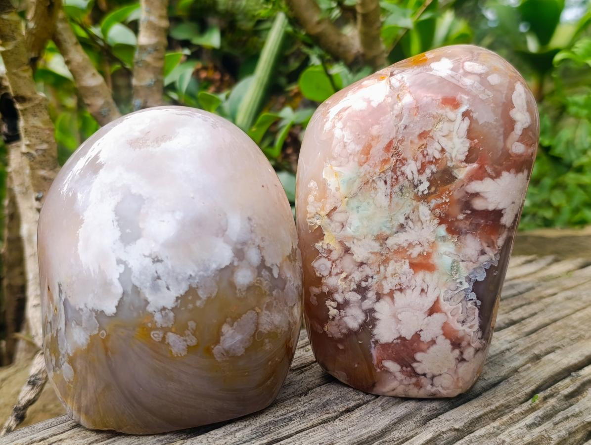 Polished Flower Agate Standing Display Pieces x 2 From Antsahalova, Madagascar - Toprock Gemstones and Minerals 