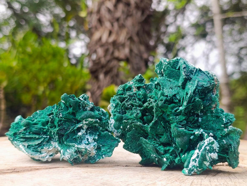 Natural Cabinet Rare Malachite Pseudomorph Specimens with Associated x 4 From Kolwezi, Congo - Toprock Gemstones and Minerals 