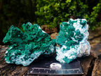 Natural Cabinet Rare Malachite Pseudomorph Specimens with Associated x 4 From Kolwezi, Congo - Toprock Gemstones and Minerals 