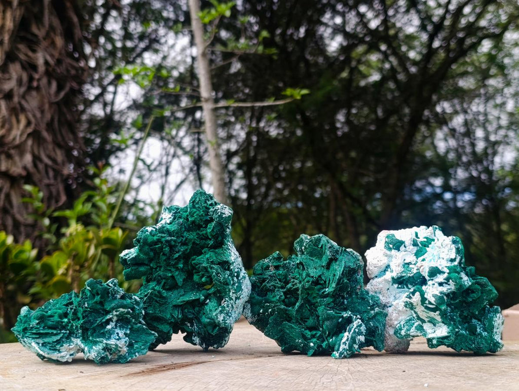Natural Cabinet Rare Malachite Pseudomorph Specimens with Associated x 4 From Kolwezi, Congo - Toprock Gemstones and Minerals 