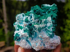 Natural Cabinet Rare Malachite Pseudomorph Specimens with Associated x 4 From Kolwezi, Congo - Toprock Gemstones and Minerals 