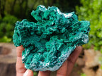 Natural Cabinet Rare Malachite Pseudomorph Specimens with Associated x 4 From Kolwezi, Congo - Toprock Gemstones and Minerals 