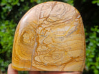 Polished Picture Stone Jasper Standing Display Pieces x 2 From Ais-Ais, Namibia - Toprock Gemstones and Minerals 