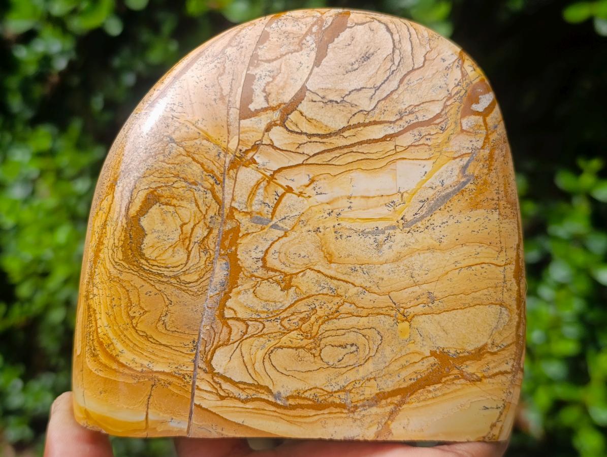 Polished Picture Stone Jasper Standing Display Pieces x 2 From Ais-Ais, Namibia - Toprock Gemstones and Minerals 