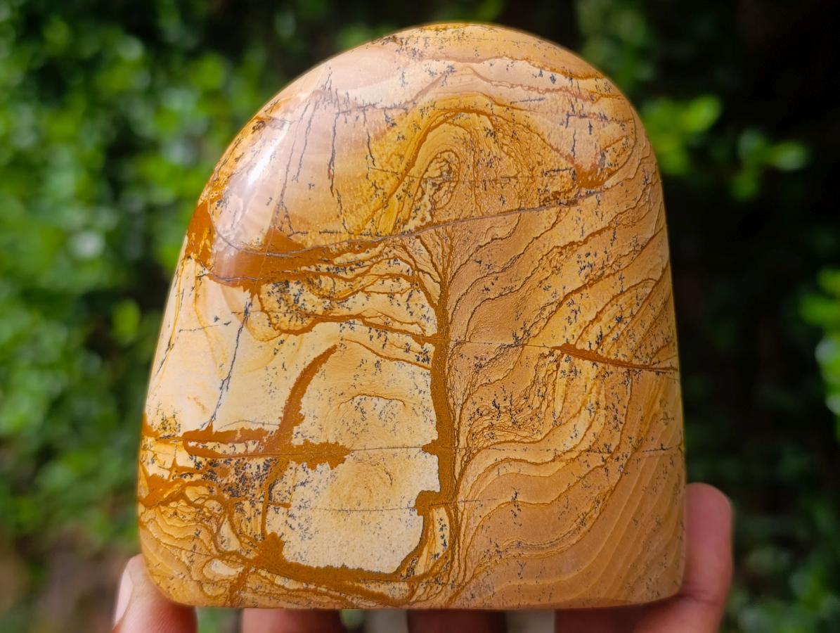 Polished Picture Stone Jasper Standing Display Pieces x 2 From Ais-Ais, Namibia
